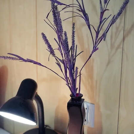 Apartment Lawendowe Starogard Gdański