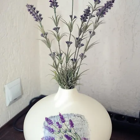 Lawendowe * Starogard Gdański