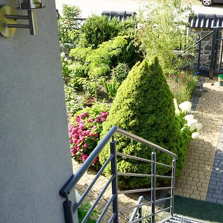 Lawendowe Apartment *