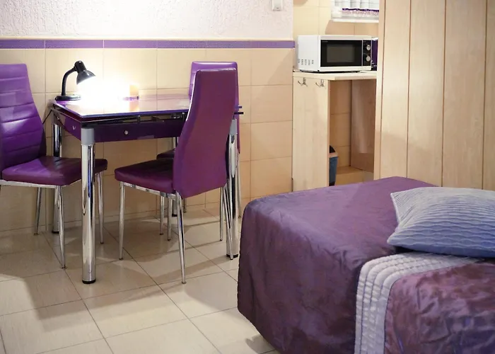 Lawendowe Starogard Gdański