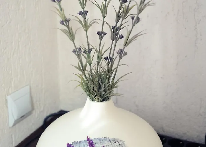 Lawendowe * Starogard Gdański